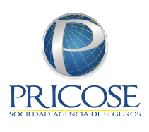 Seguros Para Automoviles En Costa Rica